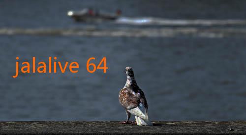 jalalive 64-Menyambut Kehidupan Lebih Sehat dengan JalaLive 16: Solusi Inovatif untuk Tubuh dan Pikiran